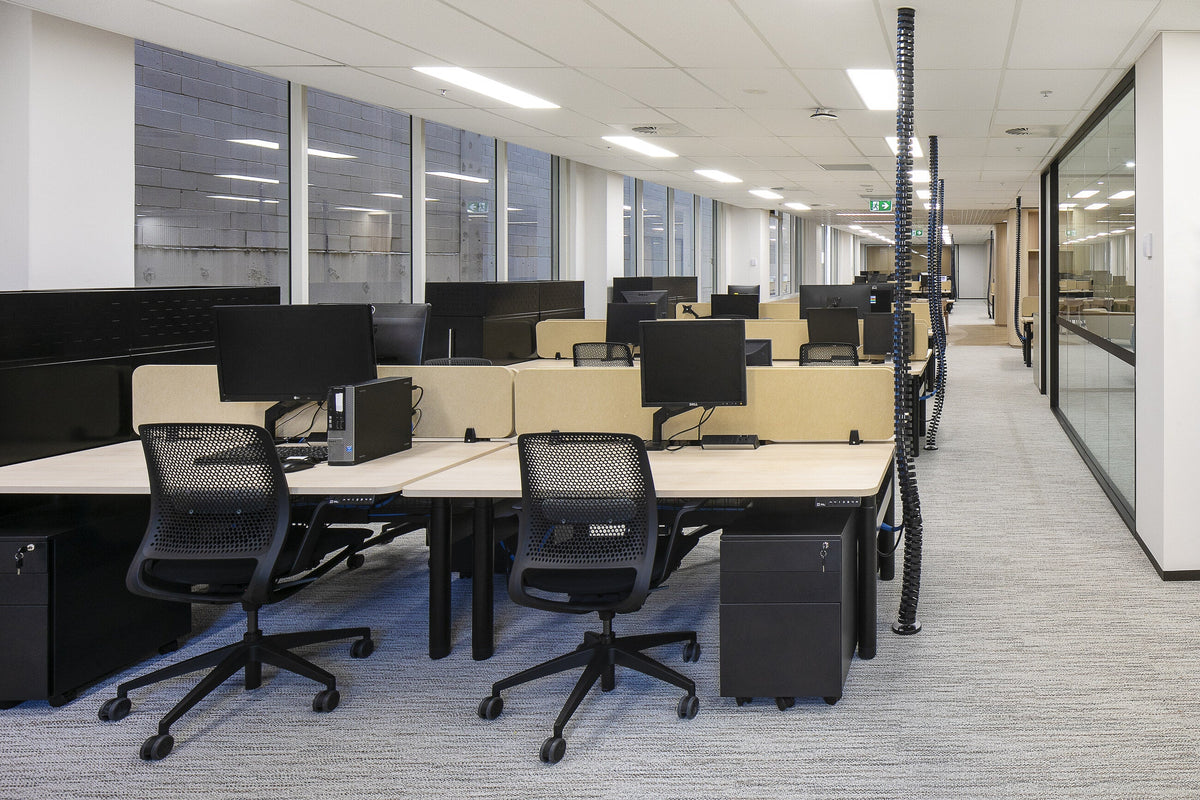 Height-adjustable bench workstations with monitor arms, acoustic screens and black mesh task chairs at Dymocks, George Street, Sydney