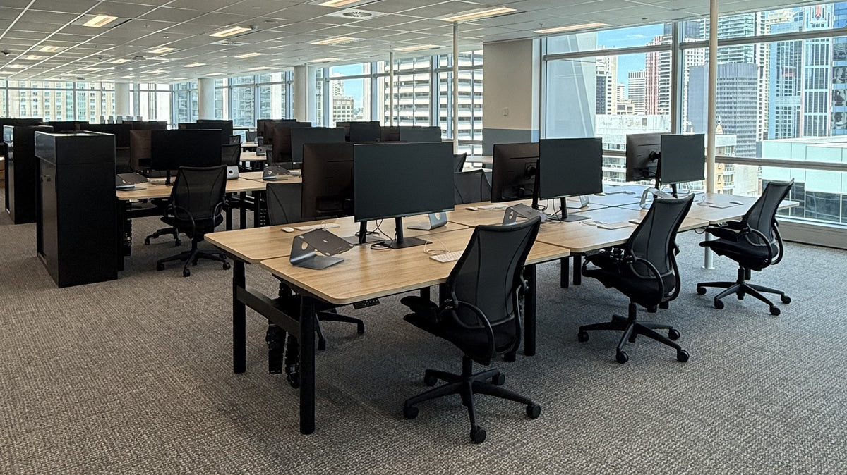 Open-plan floor of electric sit-to-stand workstations with oak tops and black Humanscale mesh task chairs, Sydney CBD
