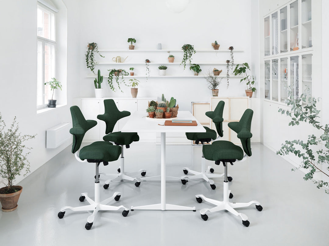 Our Beloved HÅG Capisco Chair