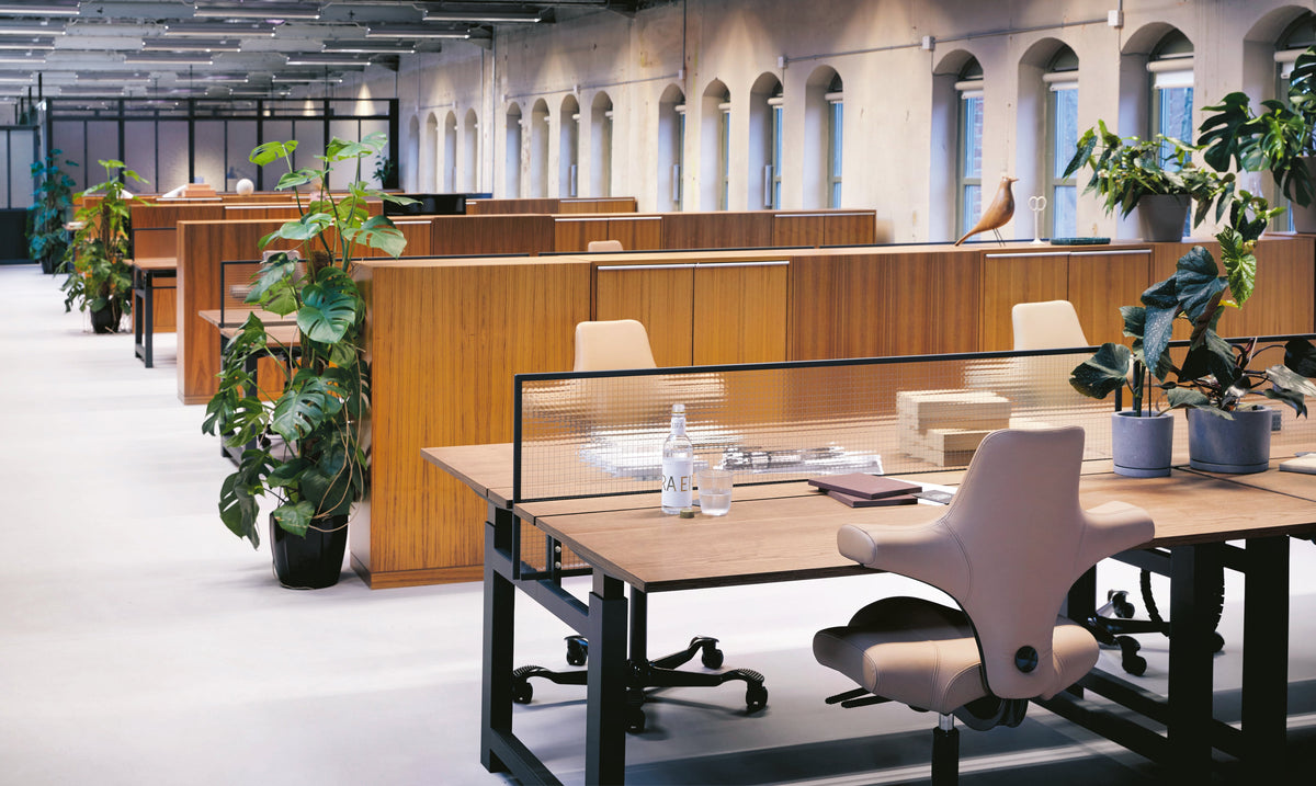HÅG Capisco 8106 saddle chair in a modern office fit-out