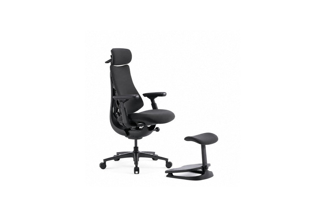 LiberNovo Omni Pro ergonomic chair with footrest - Chair Dinkum