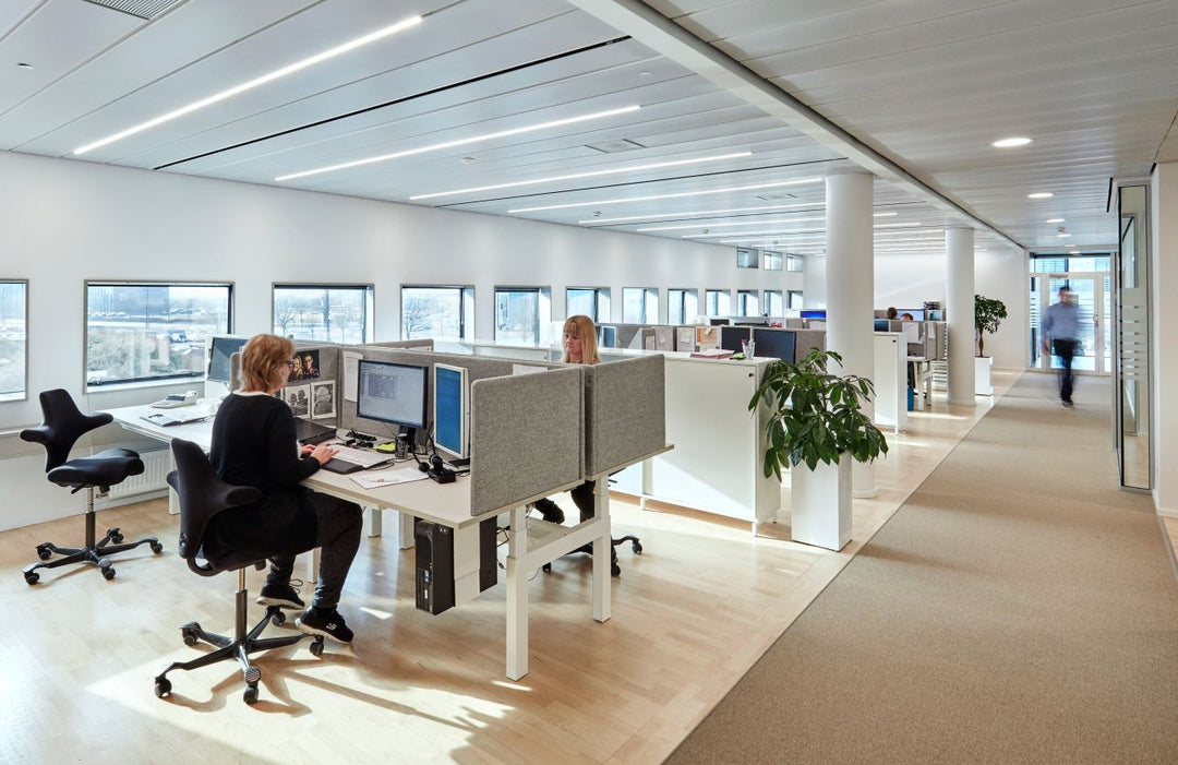 Open-plan office where staff work at height-adjustable desks on black HÅG Capisco 8106 chairs.