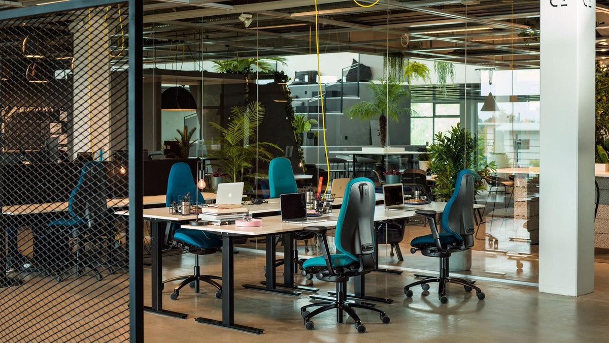 Open-plan workspace with plants and pillars fitted with teal RH Mereo office chairs