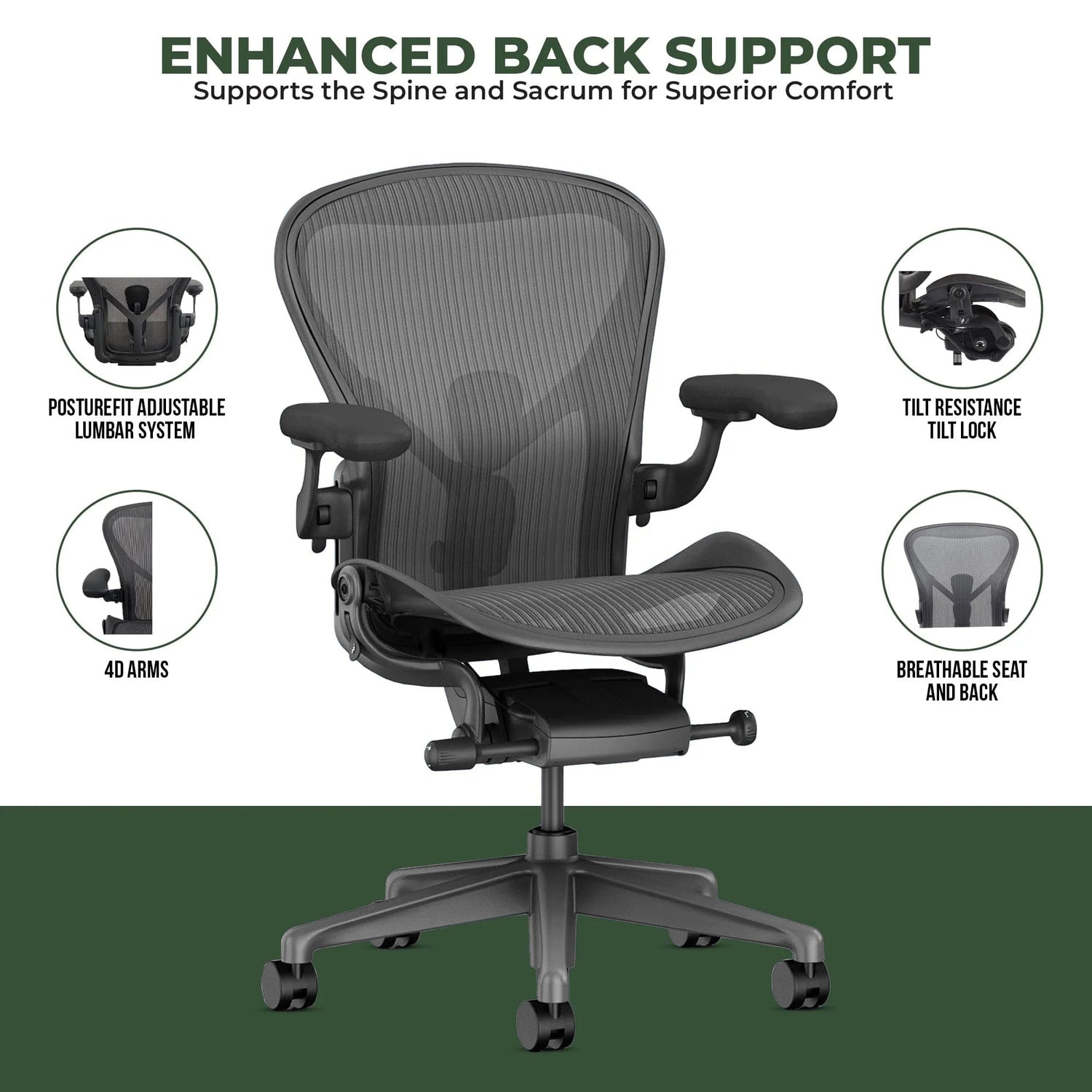 Herman Miller Aeron Remastered showing PostureFit SL sacral and lumbar support pads engaged on the backrest - Chair Dinkum Australia