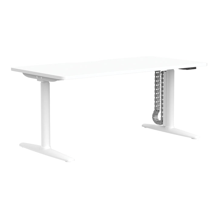 Buro Syntra height adjustable desk 1500 x 750 mm with white frame and white top, angle view, shown with optional cable spine