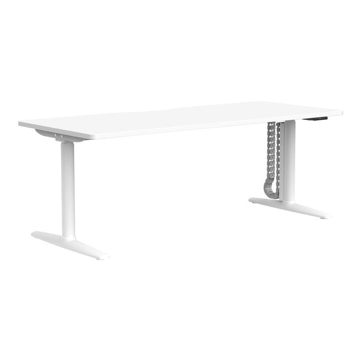 Buro Syntra height adjustable desk 1800 x 750 mm with white frame and white top, angle view, shown with optional cable spine