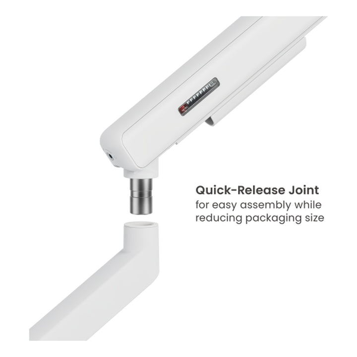Chair Dinkum Spring-Assisted Monitor Arm (Dual) - Chair Dinkum