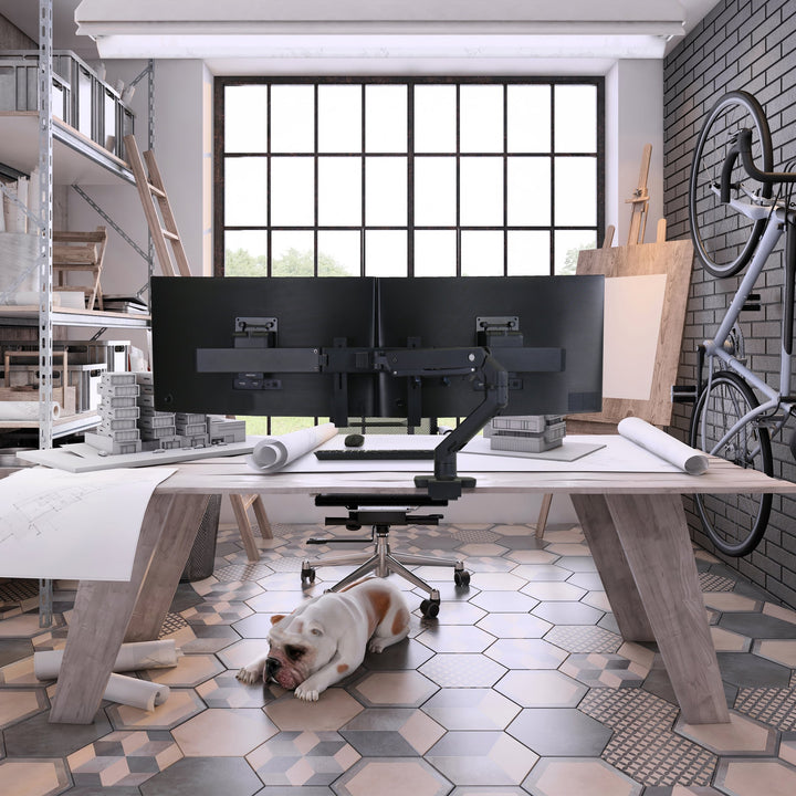 Matte black Ergotron HX Dual Monitor Arm holding two screens over a large desk in a studio with a dog asleep on the floor