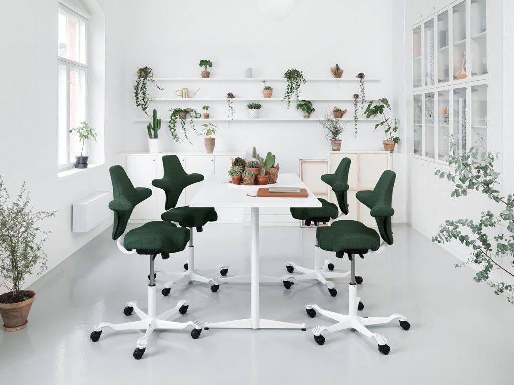 Green Capisco Plants - Chair Dinkum Australia