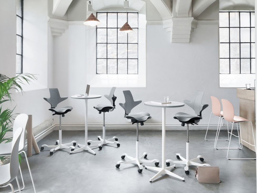 HAG Capisco Puls 8010 - Chair Dinkum