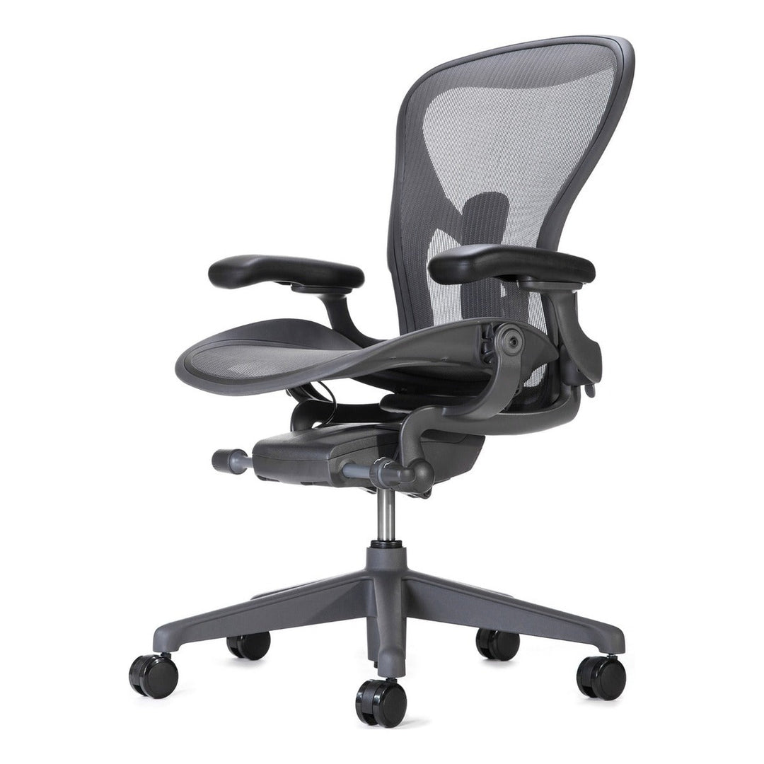 Herman Miller Aeron Chair Graphite Remastered Posturefit back view - Chair Dinkum