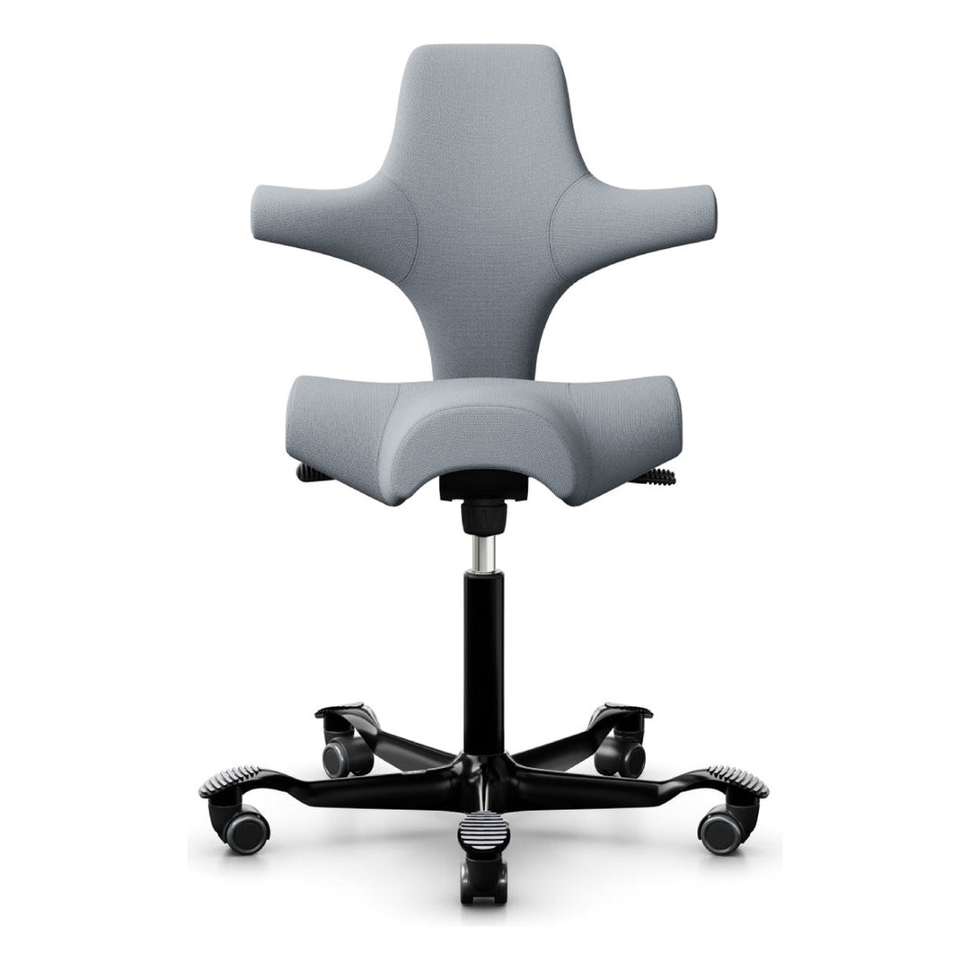 HÅG Capisco - Chair Dinkum