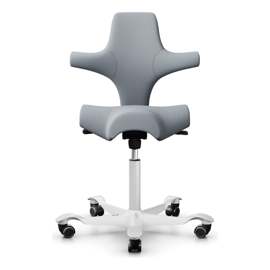 HÅG Capisco - Chair Dinkum