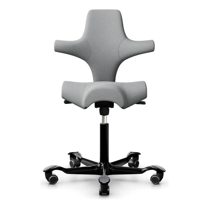 HÅG Capisco - Chair Dinkum