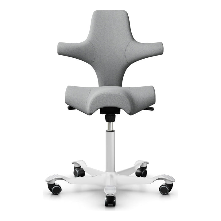 HÅG Capisco - Chair Dinkum
