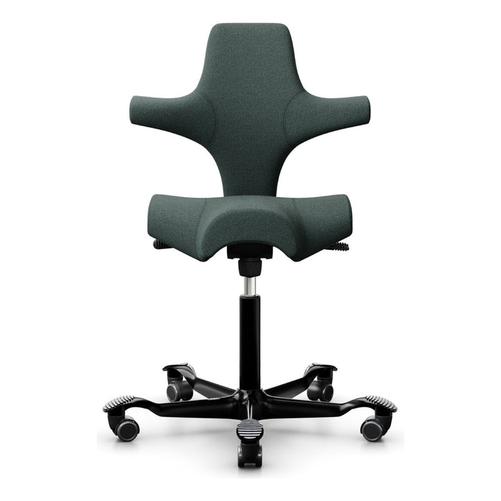 HÅG Capisco - Chair Dinkum