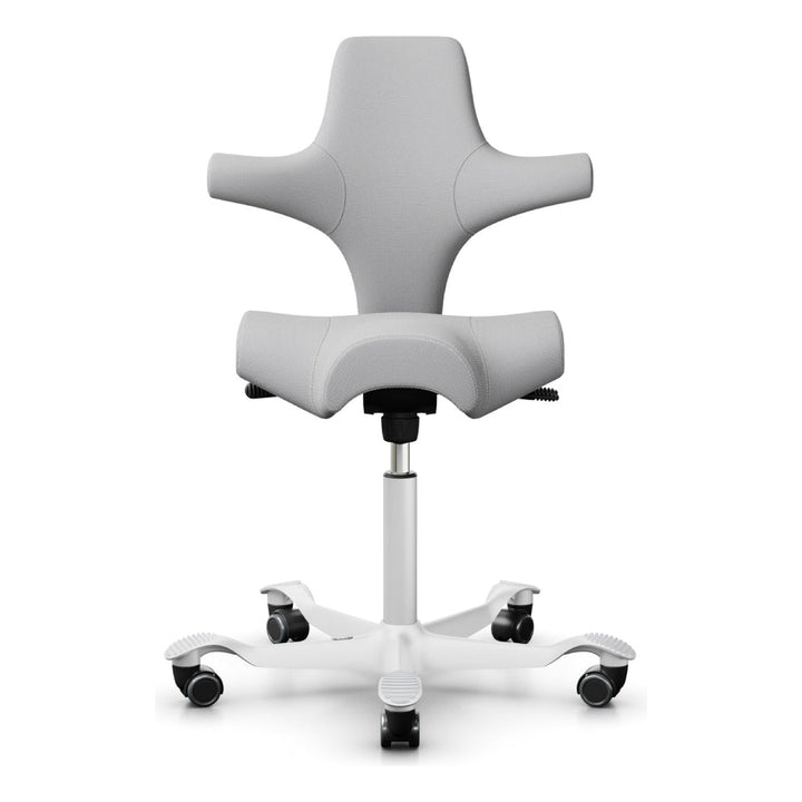 HÅG Capisco - Chair Dinkum
