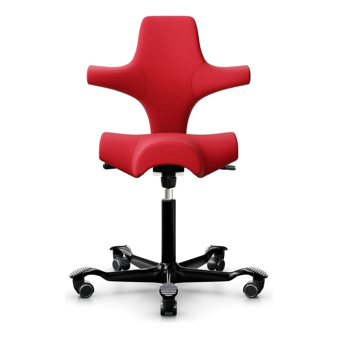 HÅG Capisco - Chair Dinkum