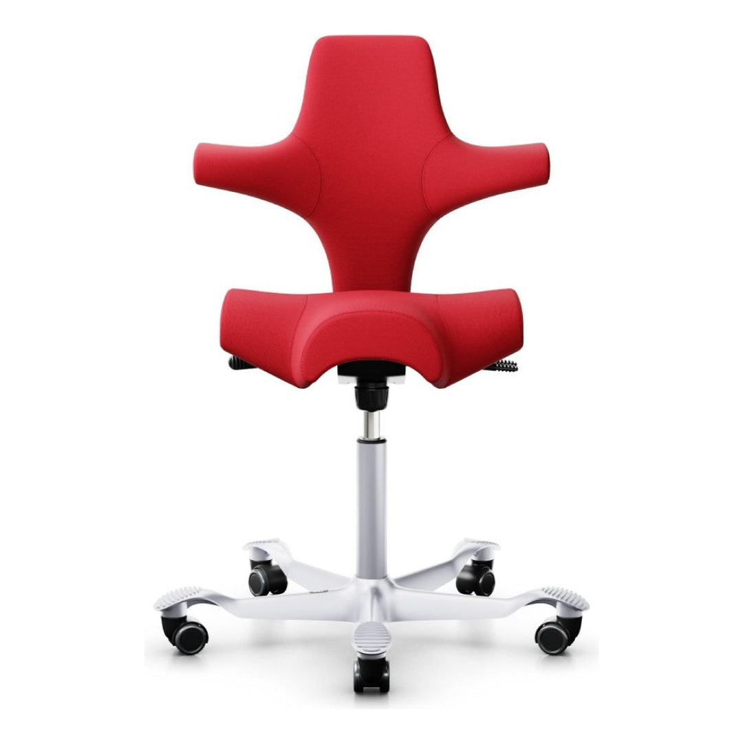 HÅG Capisco - Chair Dinkum