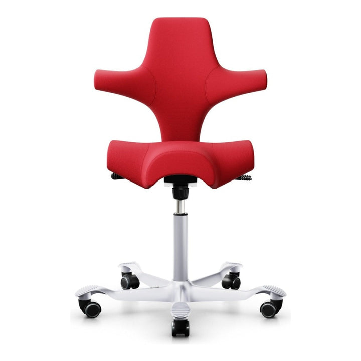 HÅG Capisco - Chair Dinkum