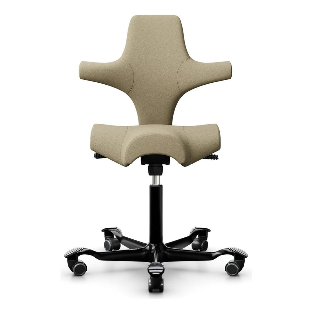 HÅG Capisco - Chair Dinkum