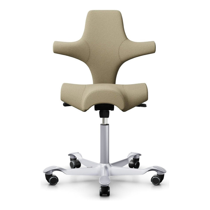 HÅG Capisco - Chair Dinkum