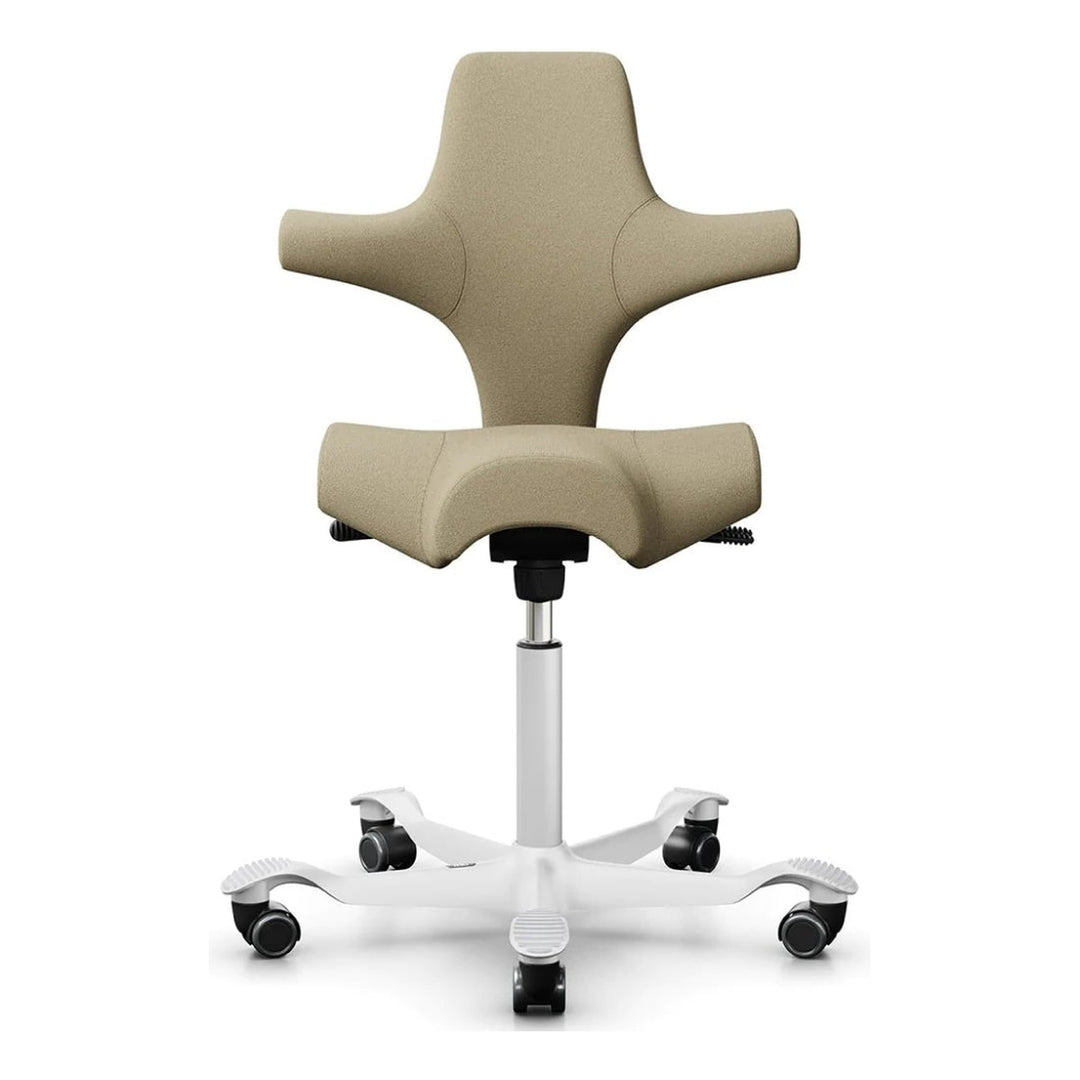 HÅG Capisco - Chair Dinkum