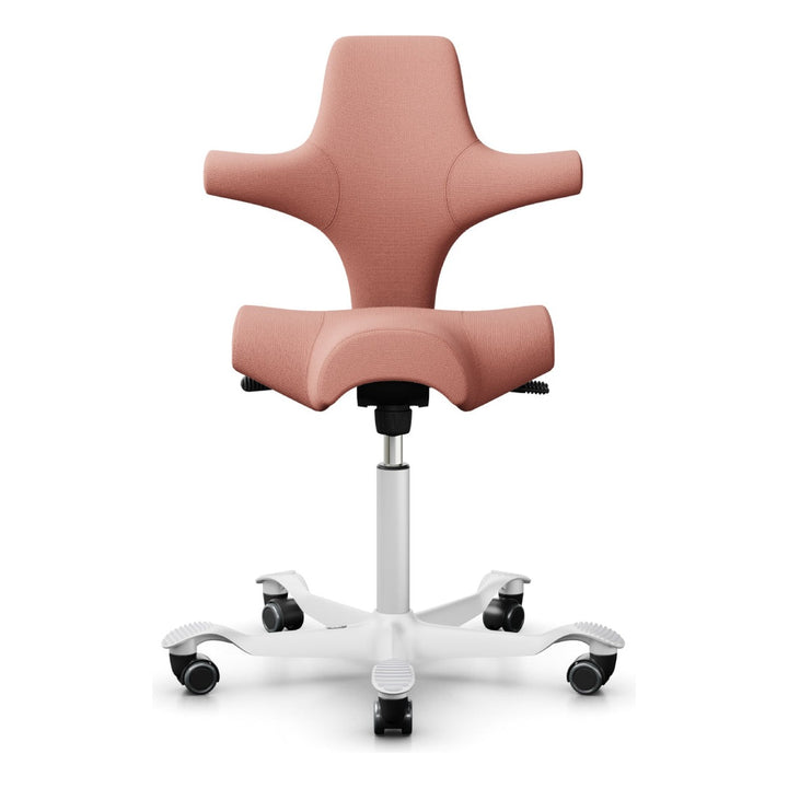 HÅG Capisco - Chair Dinkum