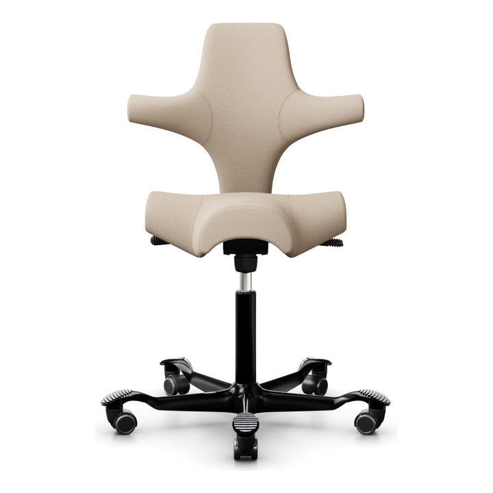 HÅG Capisco - Chair Dinkum