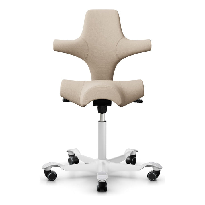 HÅG Capisco - Chair Dinkum