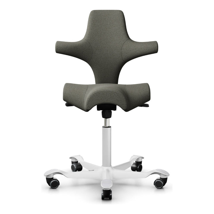HÅG Capisco - Chair Dinkum