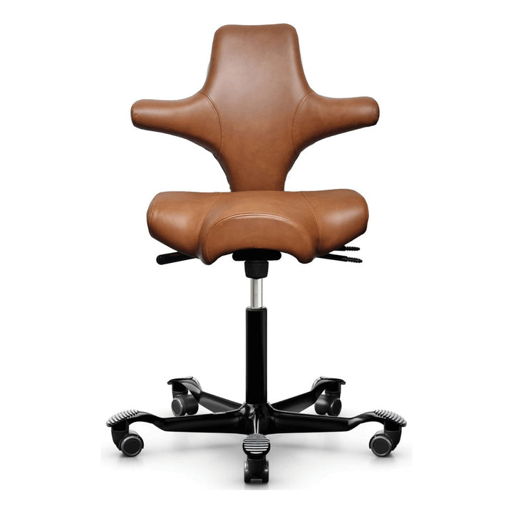HÅG Capisco - Chair Dinkum