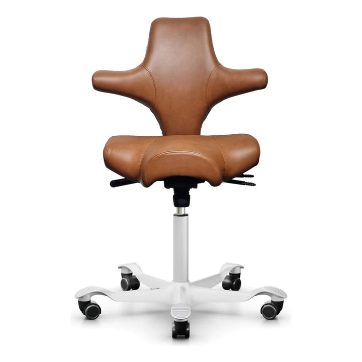 HÅG Capisco - Chair Dinkum