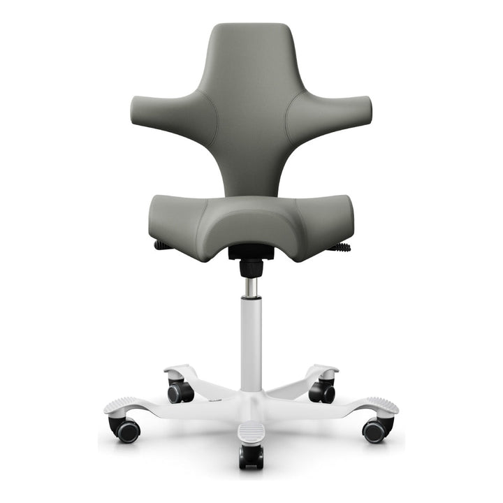HÅG Capisco - Chair Dinkum