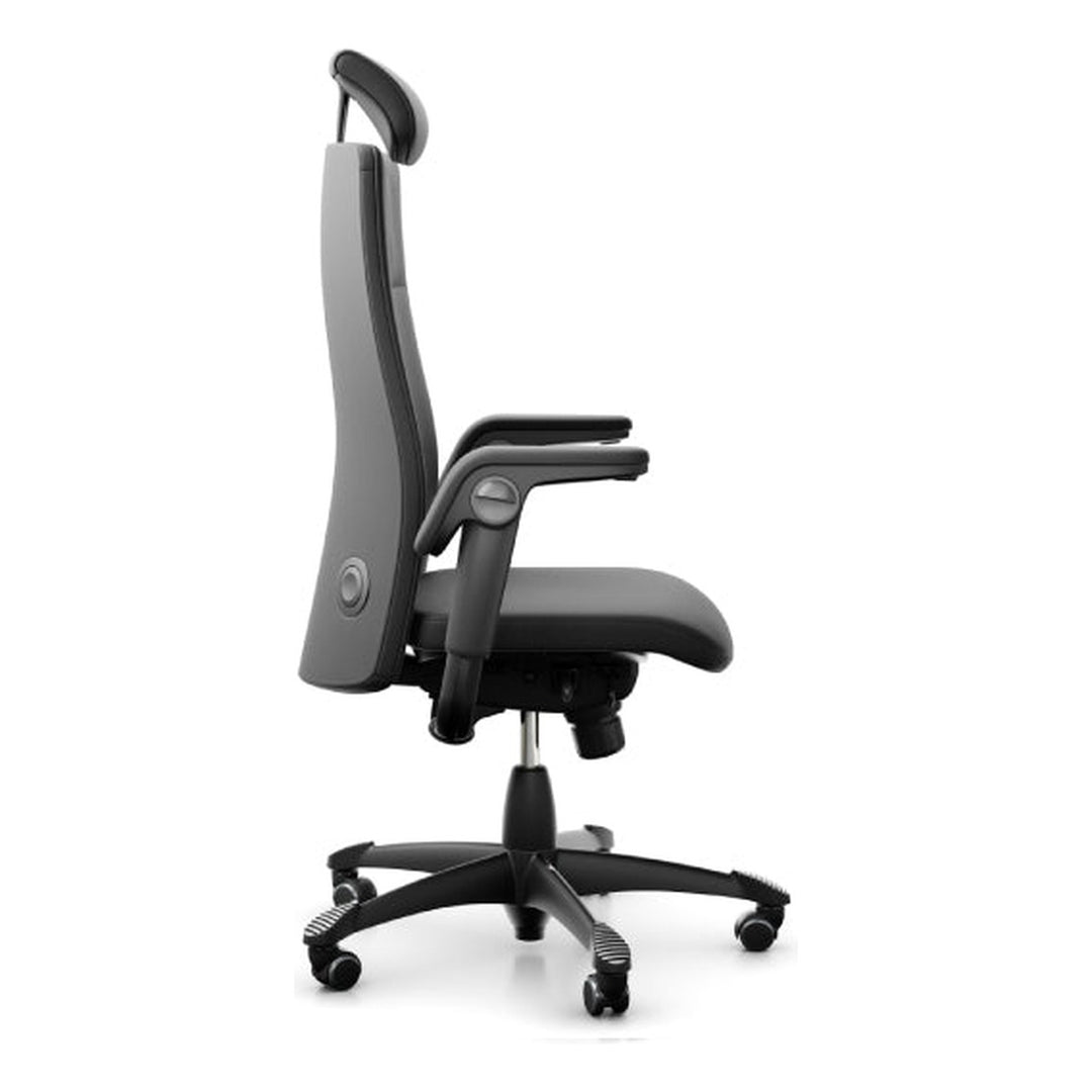 HÅG Tribute 9031 executive ergonomic office chair in Balance mechanism - Chair Dinkum Australia