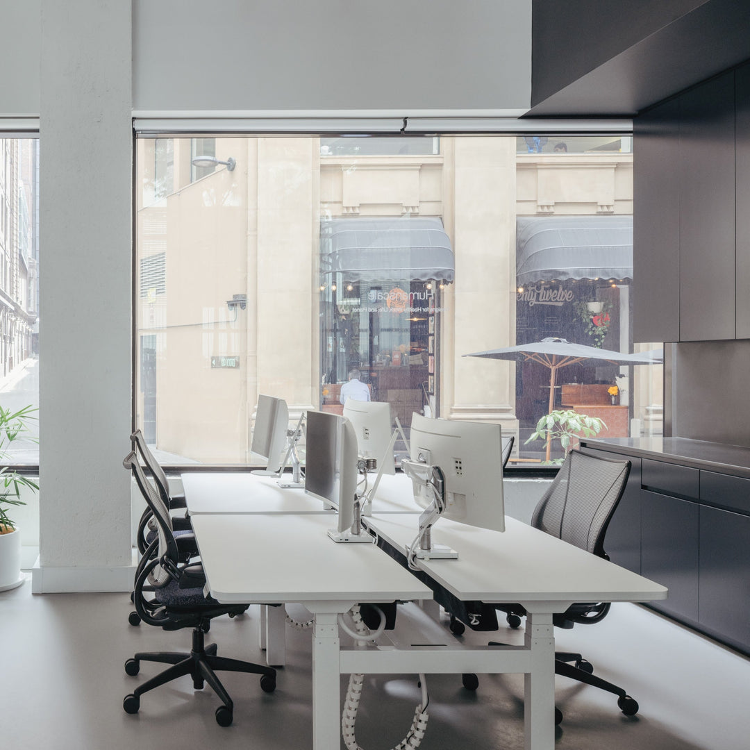 Open office with white Humanscale sit-stand desks and task chairs by a window (Humanscale photograph)