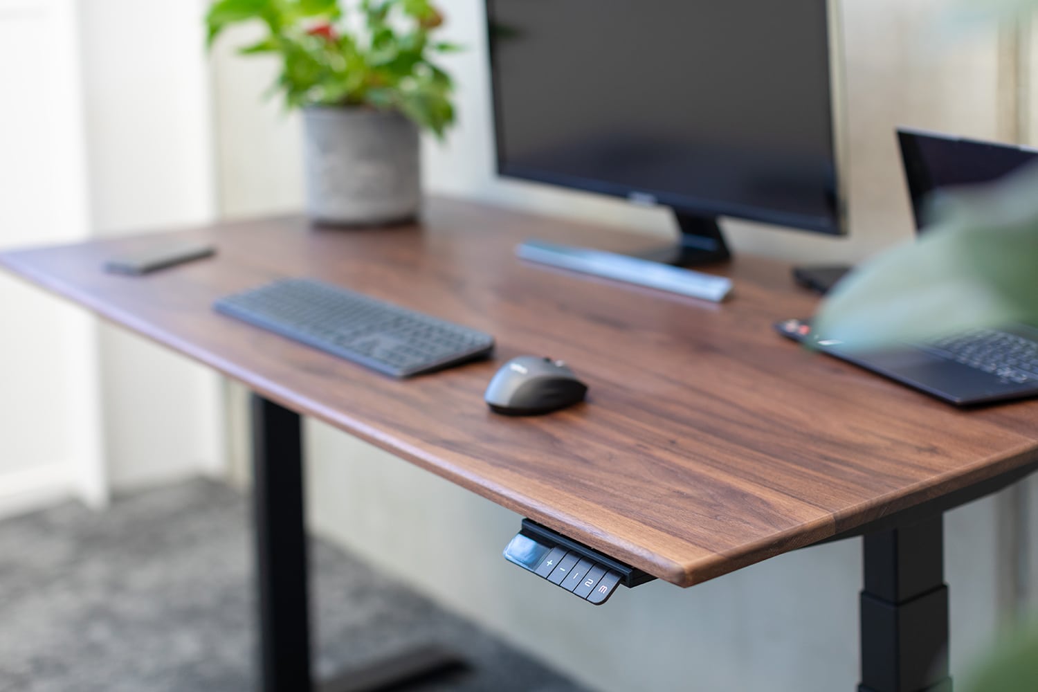 Height adjustable standing desk in a modern Australian office - Chair Dinkum Australia