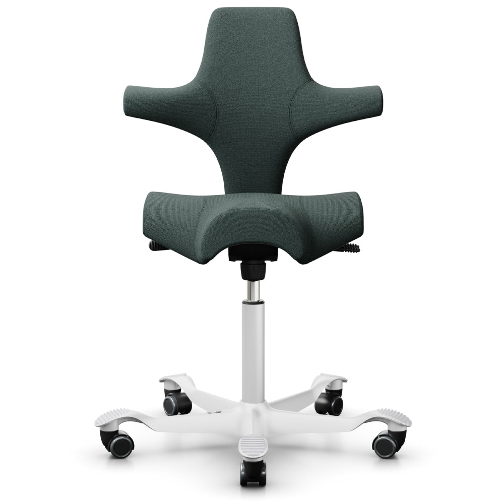 HÅG Capisco - Chair Dinkum